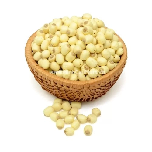 Hạt Sen Tươi 1Kg Hạt Sen Tươi 1Kg